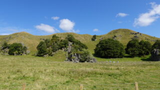 【旅好き・釣り遠征者必見】旅が快適になるおすすめアイテムまとめ｜NZ遠征実使用レビュー