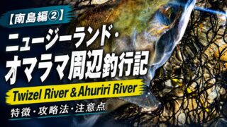 【南島編②】ニュージーランド・オマラマ周辺釣行記|Twizel River&Ahuriri Riverの特徴・攻略法・注意点