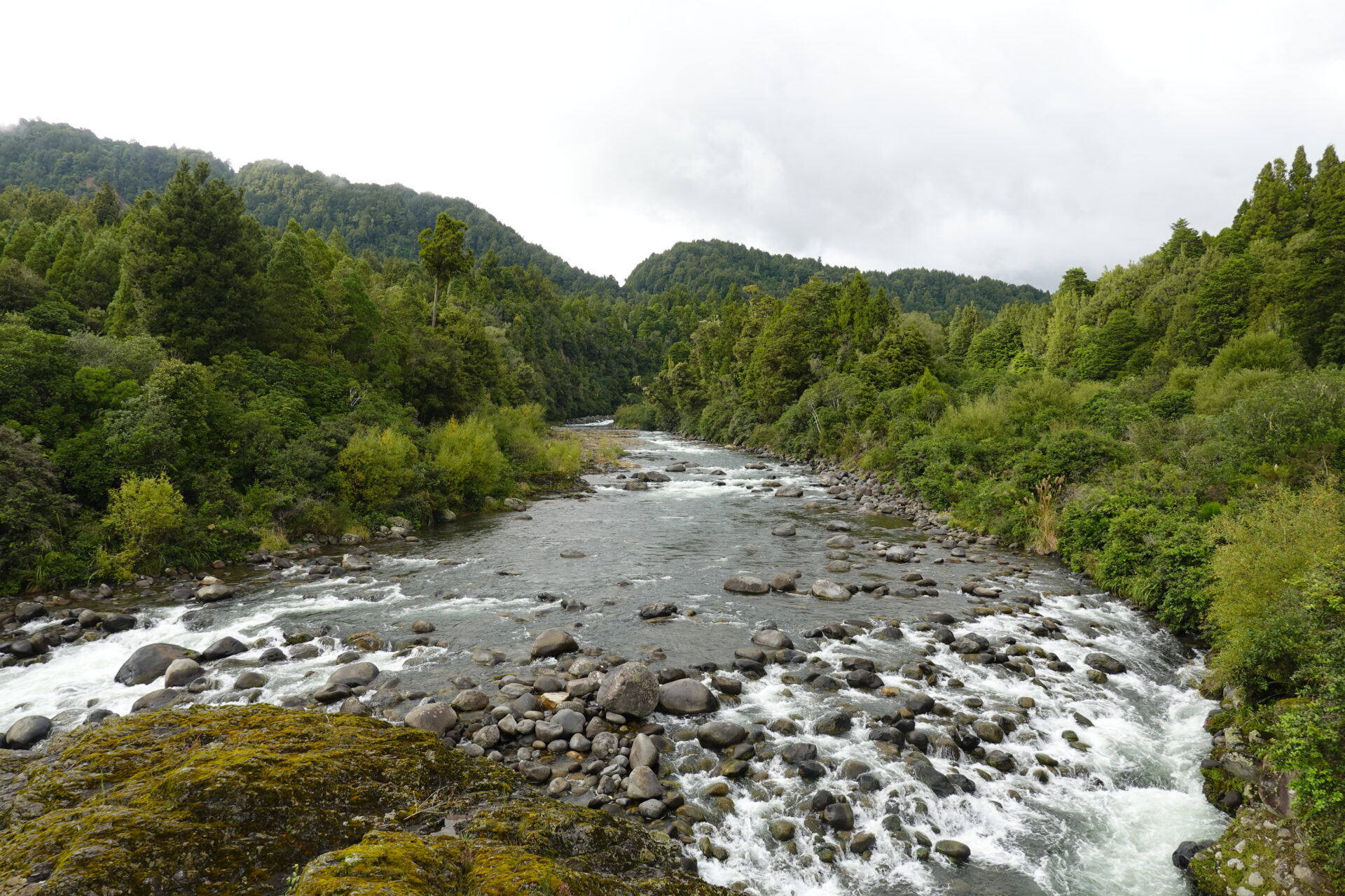 ニュージーランド北島本流Whakapapa River