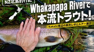 【NZ北島釣行記】Whakapapa Riverで本流トラウト!Kakahi周辺の実釣レポとルアー選び