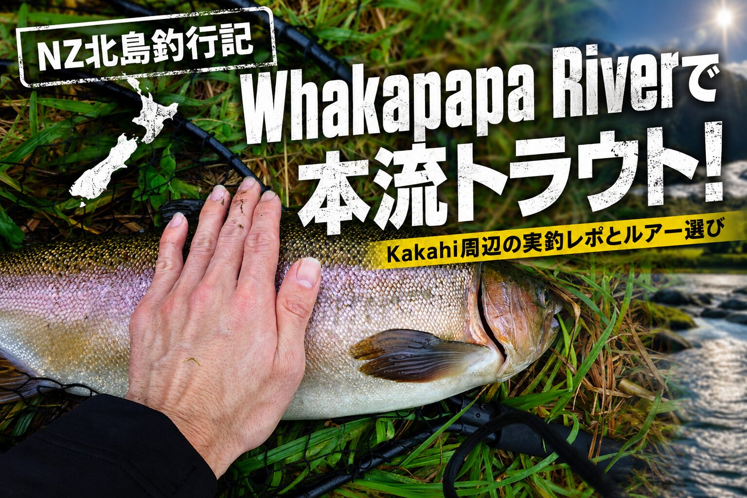 ニュージーランド北島本流トラウト