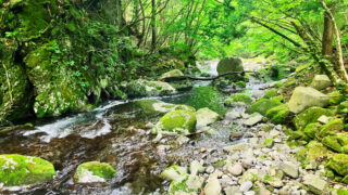 福岡発セントレア経由!岐阜で渓流釣りとクラフトビールを満喫する旅プラン