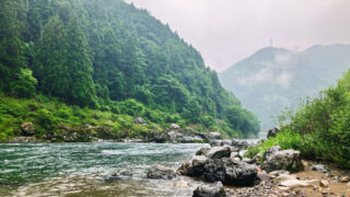 【岐阜県】郡上の渓流釣り体験記｜寒水川ポイント紹介とクラフトビール寄り道旅