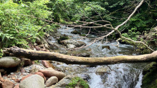 【福島渓流釣り】一ノ戸川・小白布沢川での釣行記録