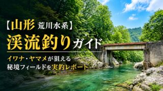 【山形 荒川水系】渓流釣りガイド|イワナ・ヤマメが狙える秘境フィールドを実釣レポート